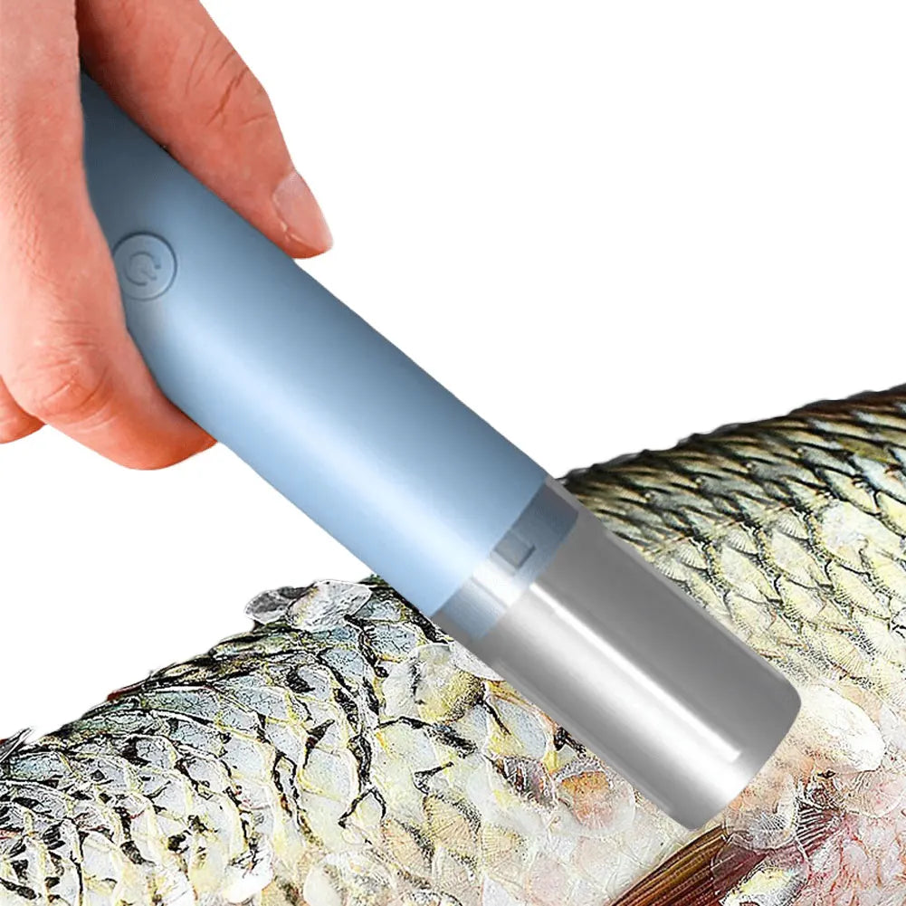 מסיר קשקשי דג נטען