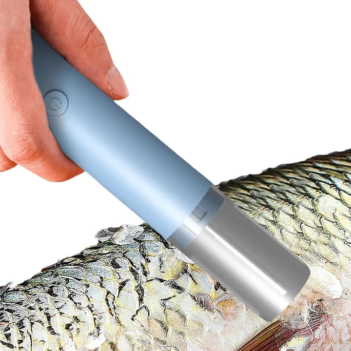 מסיר קשקשי דג נטען